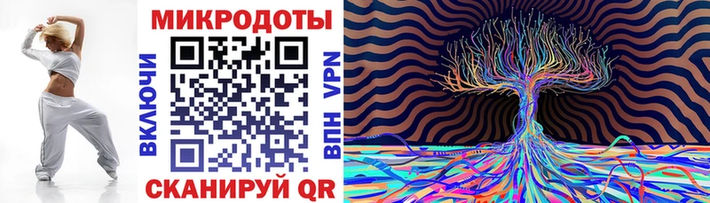 Галлюциногенные грибы Psilocybe  дарнет шоп  Шилка 