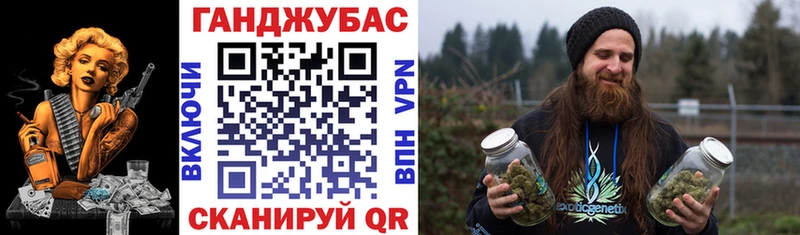 цена наркотик  Шилка  Конопля гибрид 